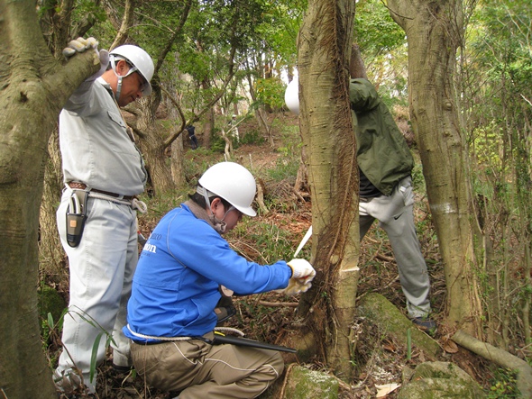 2013年度　秋季森林整備活動のイメージ