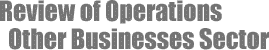 Other Businesses Sector