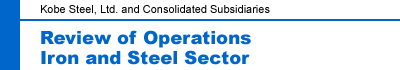 Review of Operations Iron and Steel Sector