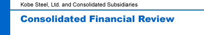 Consolidated Financial Review