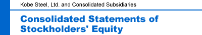 Consolidated Statements of Stockholders' Equity