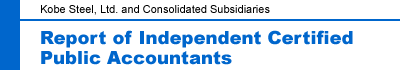 Report of Independent Certified Public Accountants