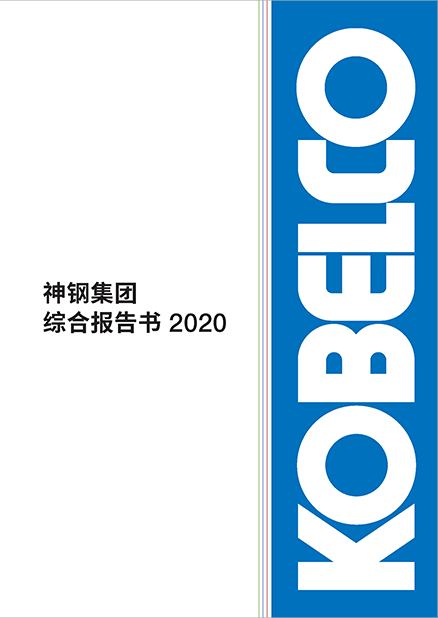 综合报告书2020