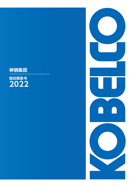 综合报告书2022