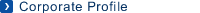 Corporate Profile