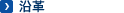 ���v(����p)