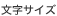 �����T�C�Y