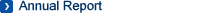 Annual Report