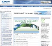 Sustainability Report on the Internet