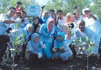 Employees and mangrove saplings