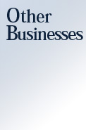 Other Businesses
