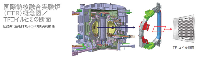 国際熱核融合実験炉（ITER）概念図／TFコイルとその断面