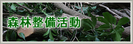 森林整備活動