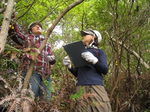 今回の毎木調査では、樹種、樹高、胸高周囲、被度（枝葉の広がり）を記録していきます。