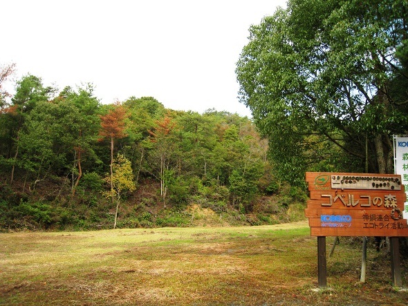 2013年度　秋季森林整備活動のイメージ