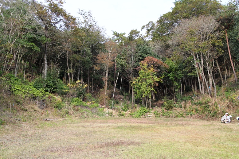 2015年度　秋季森林整備活動のイメージ