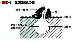 図2　自然腐食孔