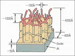 PPA（りん酸陽極酸化）表面上の酸化構造物
