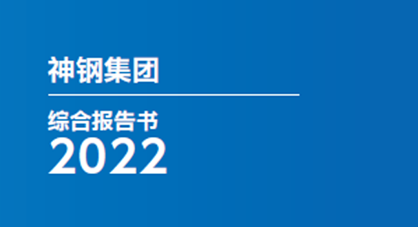 综合报告书