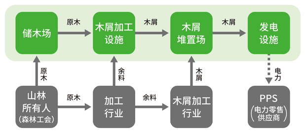 从木材储存到发电的连贯体制