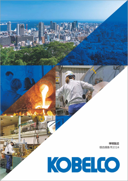 综合报告书2024