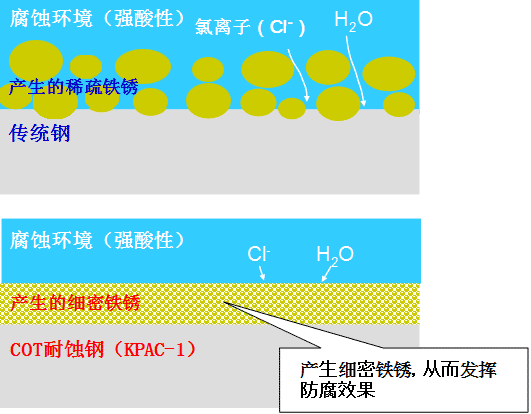 KPAC-1提高耐蚀性机制