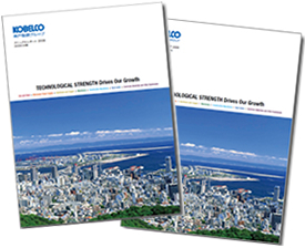 Annual Reports (in English and Japanese)