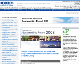 Sustainability Report on the Internet