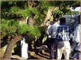 Commemorative ceremony held on the grounds of the Fujisawa Plant