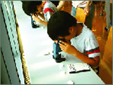 Children become intensely involved in the Observation of Soil Organisms program
