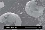 Minute granules of copper separated using ultra sound. (magnified)