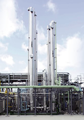Bio-natural gas conversion facilities