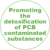 Promoting the detoxification of PCB contaminated substances