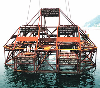 A steel artificial reef for seaweed and fish
