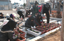 Assisting with the Bonding Through Flowers Project (Hana de Tsunagu Project) (Harima)