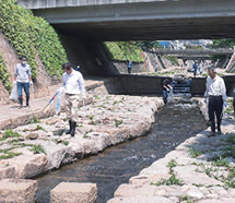Clean-up activities while walking along the river