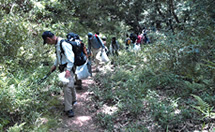 Protecting the natural environment of Mount Rokko through Clean Hiking
