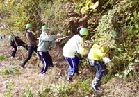 First forest improvement activity(November 2011)