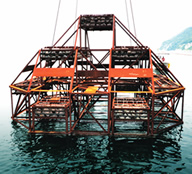 A steel artificial reef for seaweed and fish
