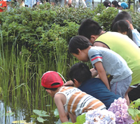 Children visiting the biotope