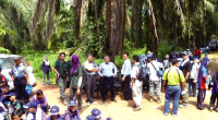 Supporting Forest Conservation in Malaysia