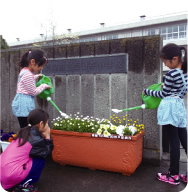Using planters to learn about greenification, and the environment (Moka)