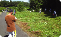 Cleanup activities around Okubo River