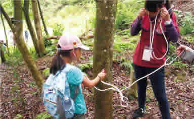 Forest field trip event (KOBELCO Forest)