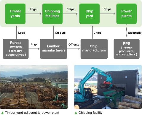 Flow of Timber Supply to Power Generation