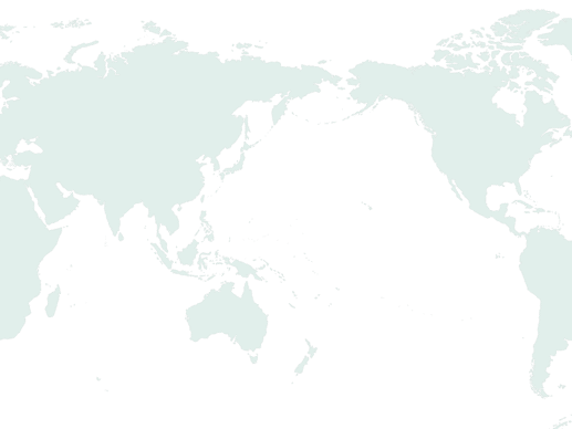 Overseas Subsidiaries and Affiliates