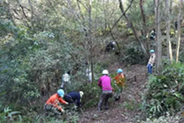 Forest Development Activities