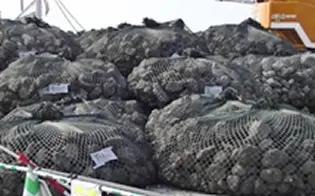 Submerged breakwater construction material (Filling material: iron and steel slag hydrated matrix)