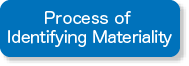 Process of Identifying Materiality