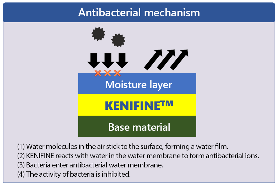 Antibacterial mechanism